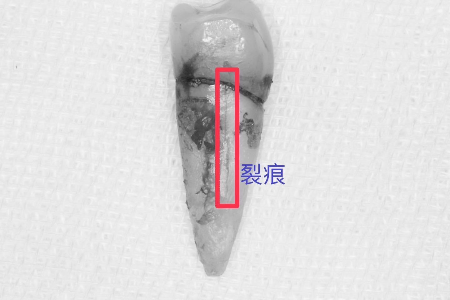 穩紮穩打一步步做