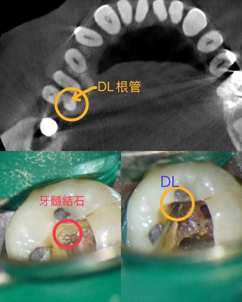 messageImage_1764052227795_0