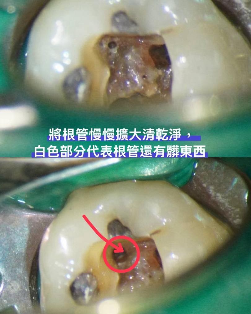 messageImage_1764052244688_0