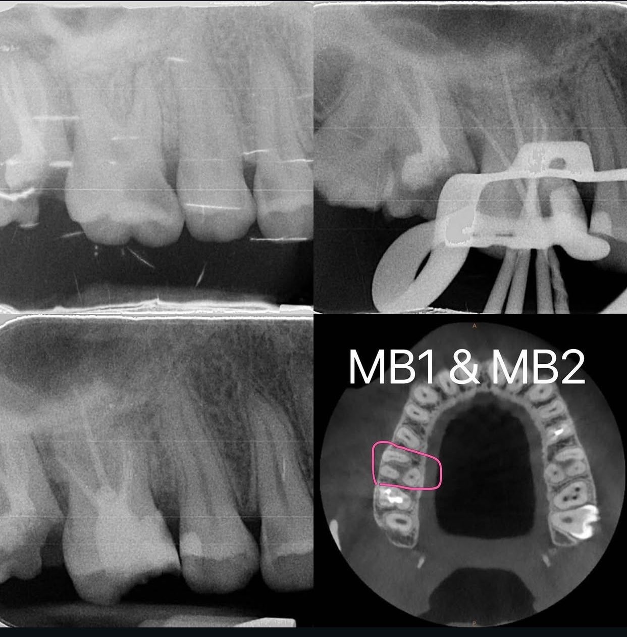 messageImage_1767162127530_0