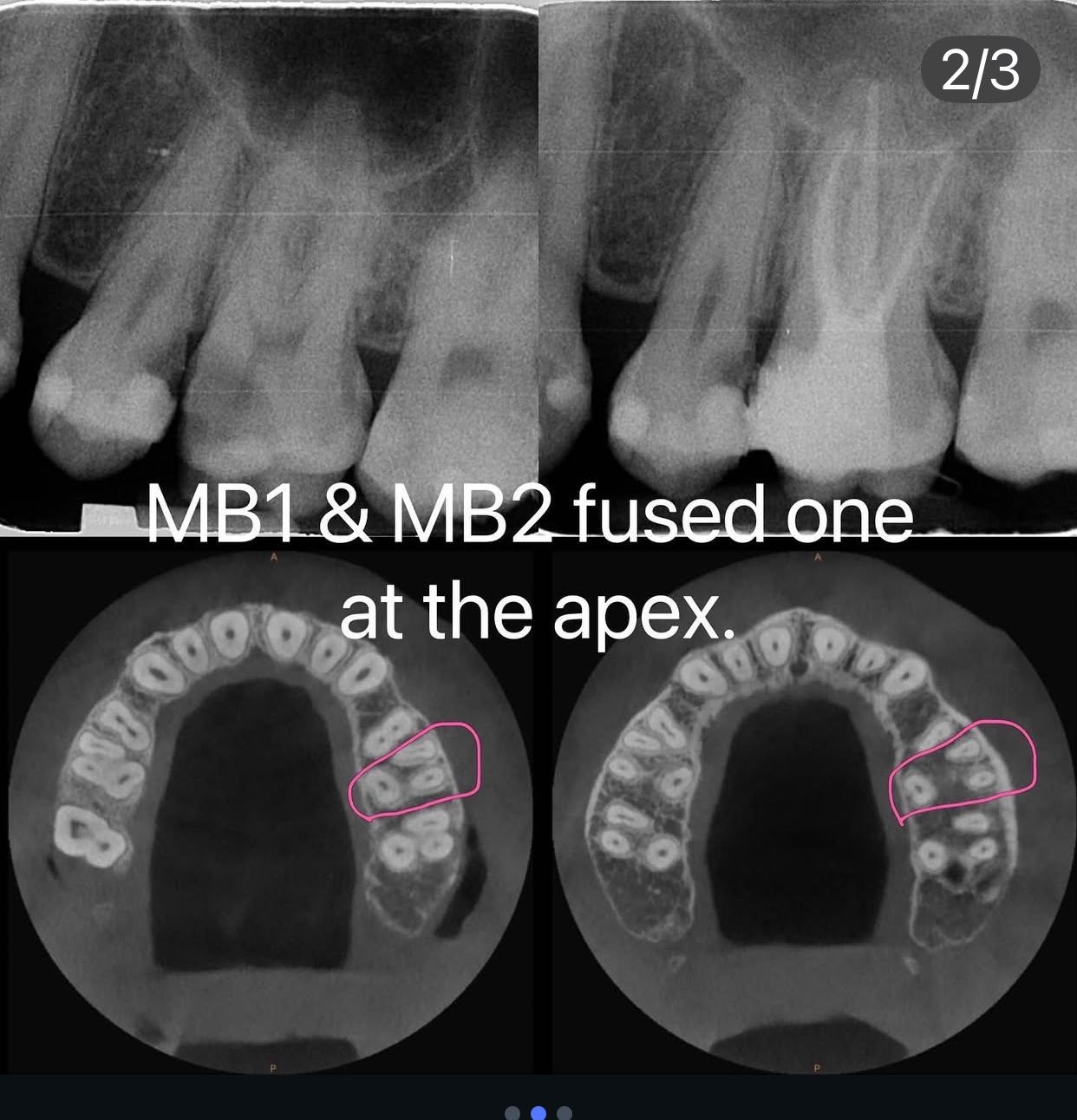 messageImage_1767162139019_0