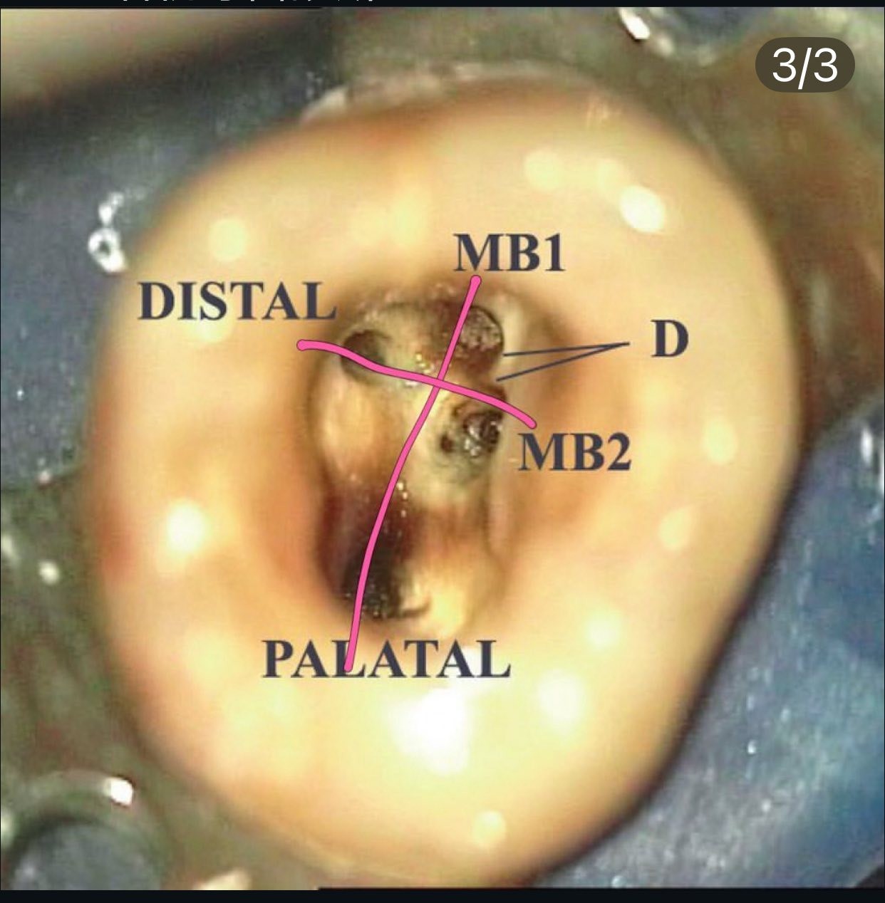 messageImage_1767162175537_0