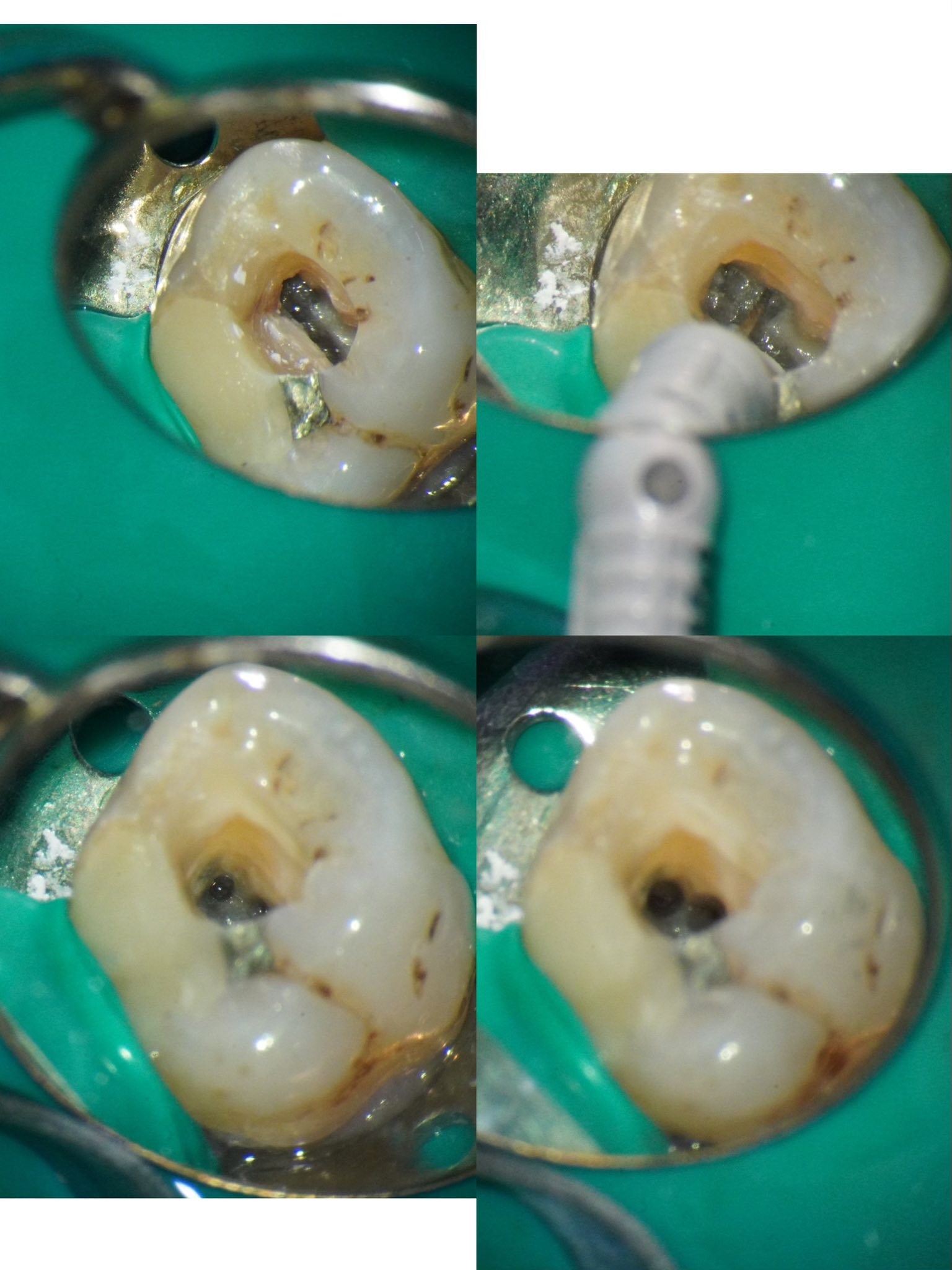 messageImage_1767162182053_0