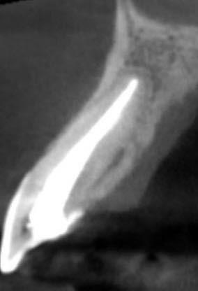 messageImage_1768371431310_0