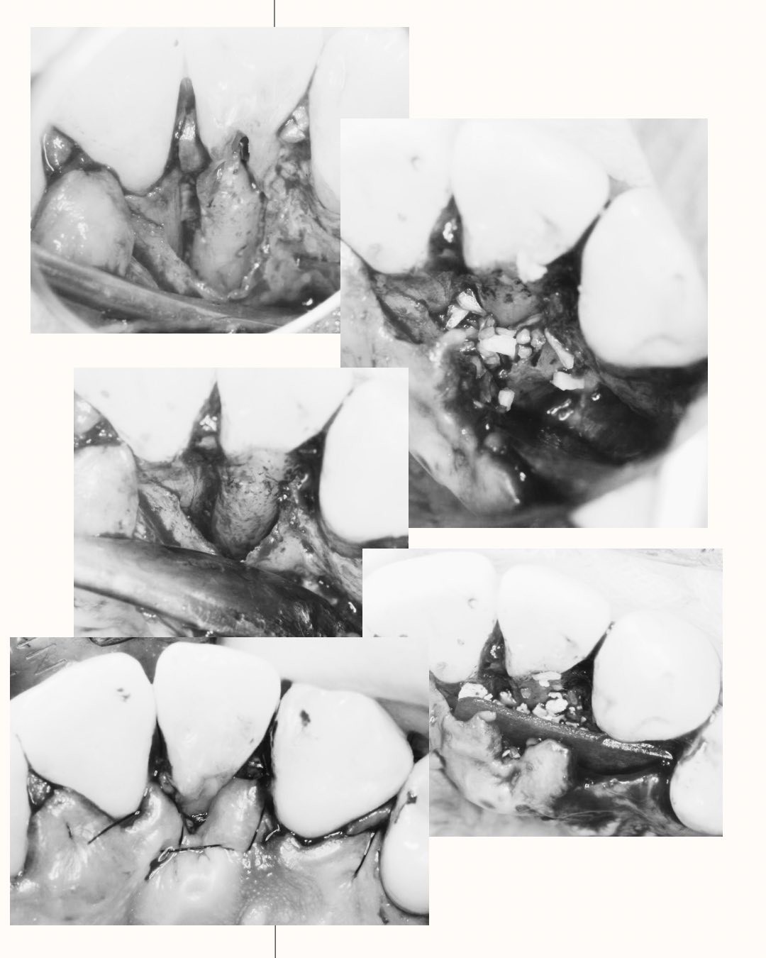 messageImage_1768371438324_0